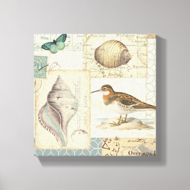 Seashell Collage Canvas Print (Front)