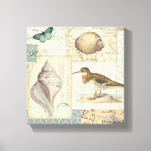 Seashell Collage Canvas Print
