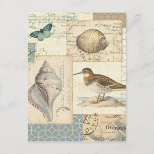 Seashell Collage Postcard
