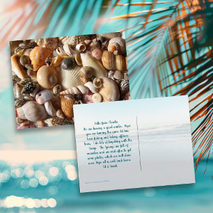 Seashell Collection Photography Postcard