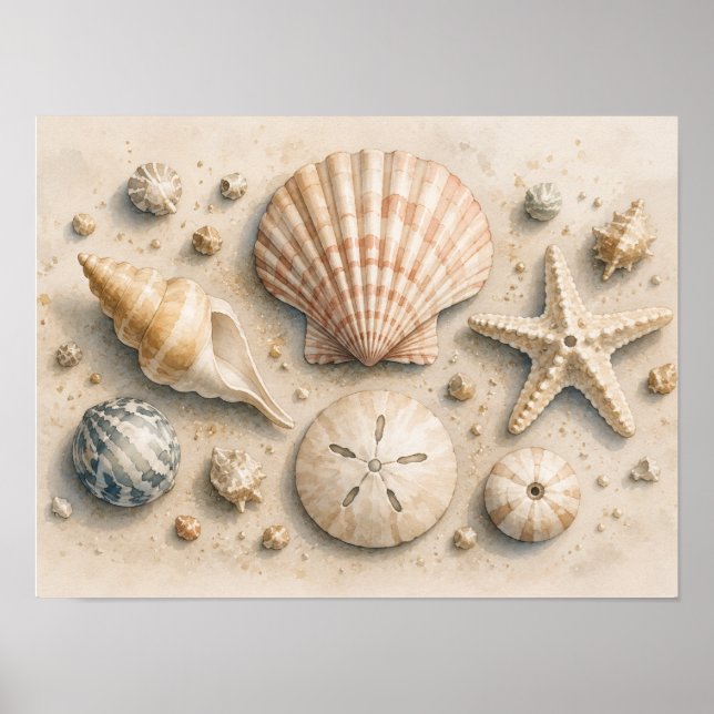 Seashell Collection Poster | Watercolor Coastal (Front)