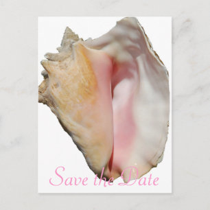Seashell Conch Beach Wedding Announcement Postcard