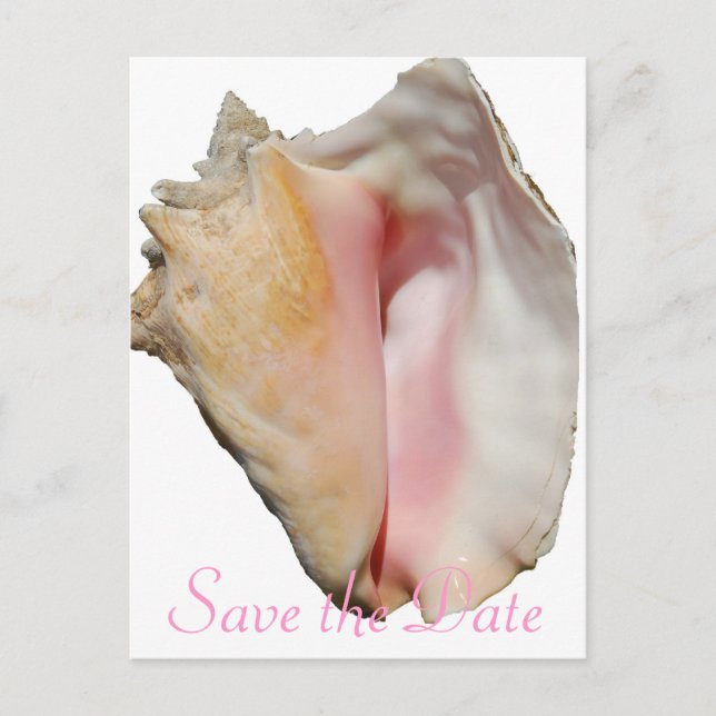 Seashell Conch Beach Wedding Announcement Postcard (Front)