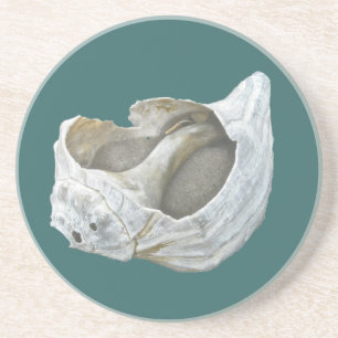Seashell - Customise Choose your background colour Coaster