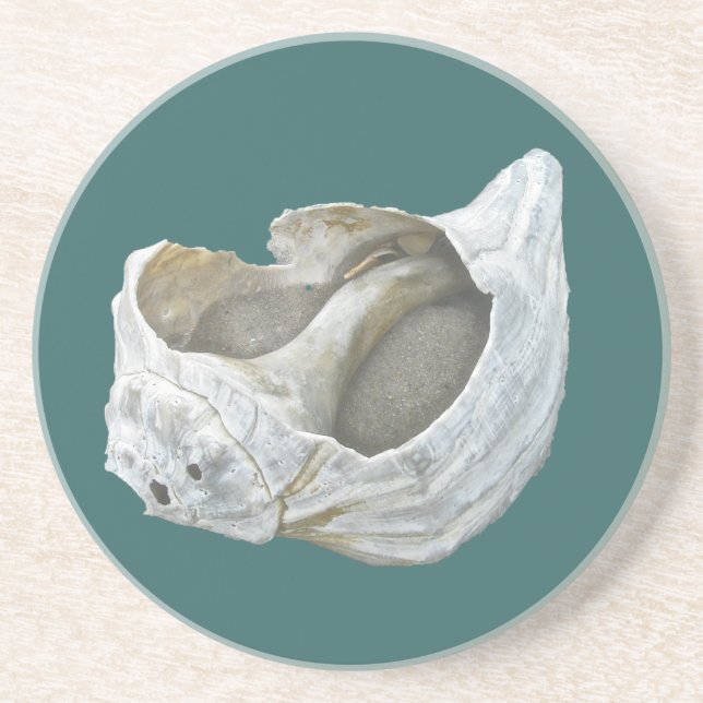 Seashell - Customise Choose your background colour Coaster (Front)