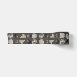 SeaShell Extravaganza  Satin Ribbon