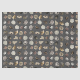 SeaShell Extravaganza  Tissue Paper
