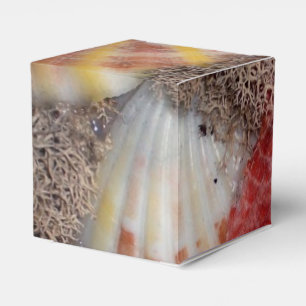 Seashell Favour Box