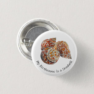 Seashell/Fossickers 3 Cm Round Badge