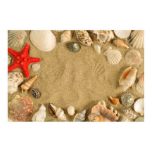 seashell frame