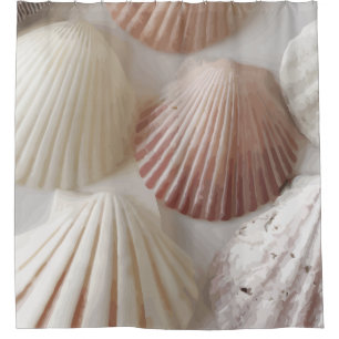 Seashell Graphics Shower Curtain