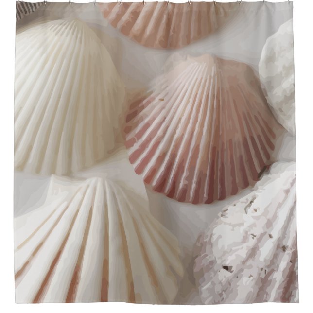 Seashell Graphics Shower Curtain (Front)