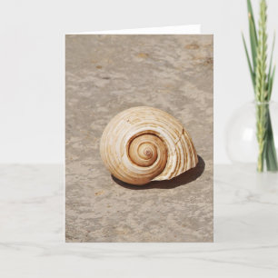 SeaShell Holiday Card