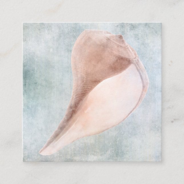 Seashell in Cream and Coastal Blue Pastel Painting Square Business Card (Front)