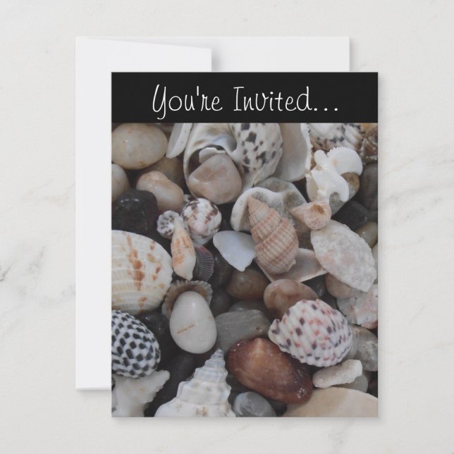 Seashell Invitation (Front)