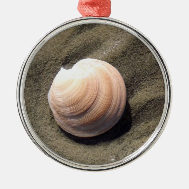 Seashell Metal Tree Decoration (Front)