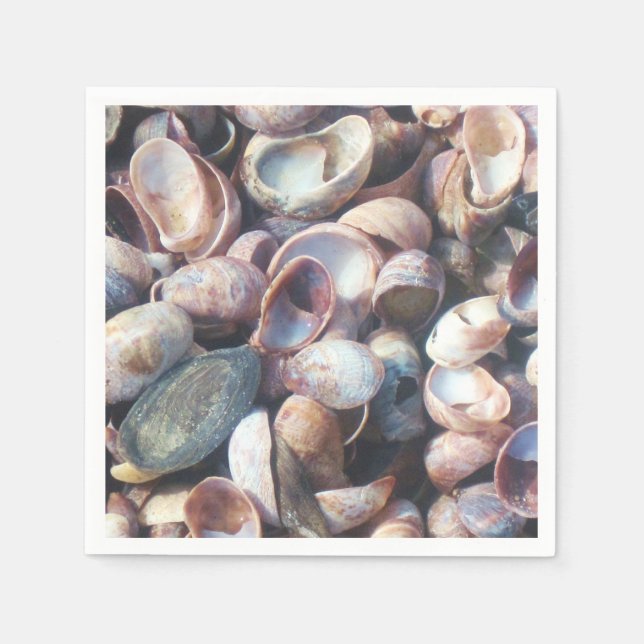 Seashell Napkin (Front)