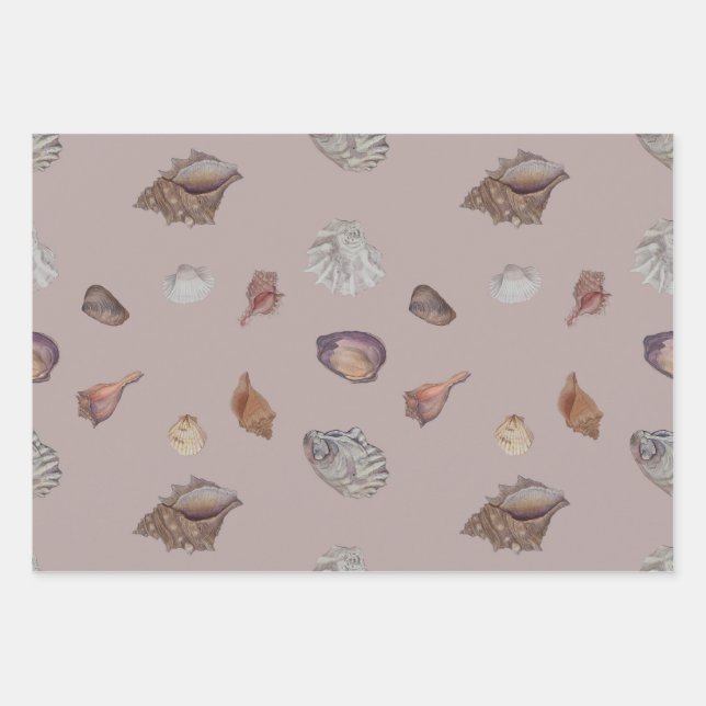 Seashell neutral tones gift wrap (Front)