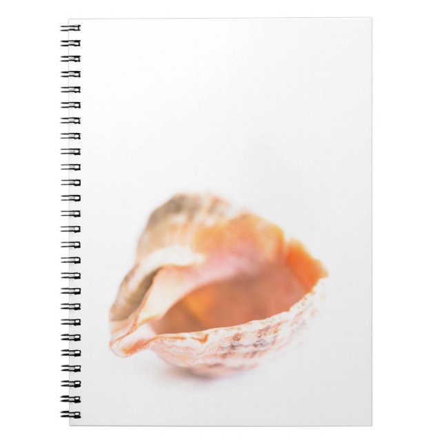 Seashell Notebook (Front)