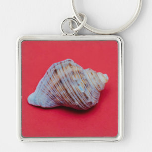 Seashell on a red background key ring
