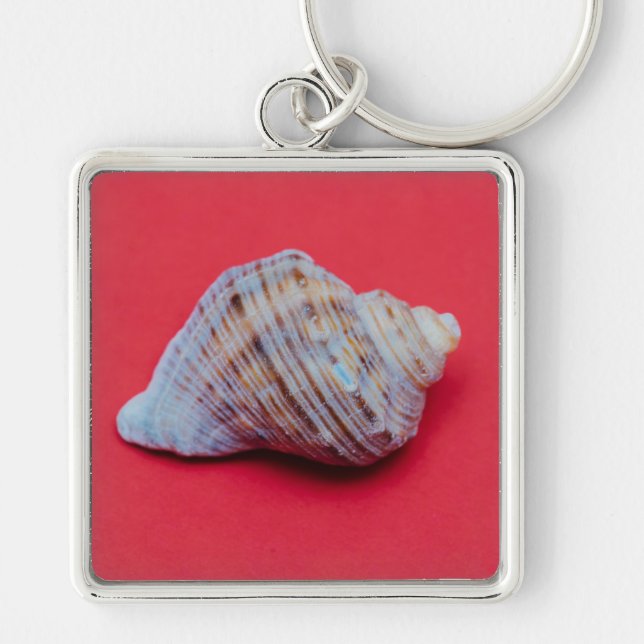 Seashell on a red background key ring (Front)