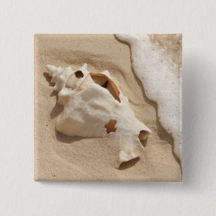 Seashell On Beach   Grand Turk Caribbean Island 15 Cm Square Badge