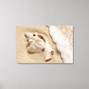 Seashell On Beach   Grand Turk Caribbean Island Canvas Print