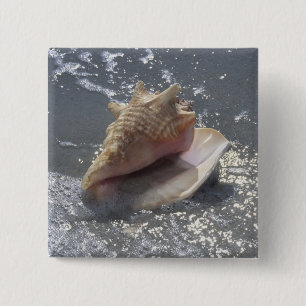 Seashell On Beach Sanibel Island, Florida 15 Cm Square Badge