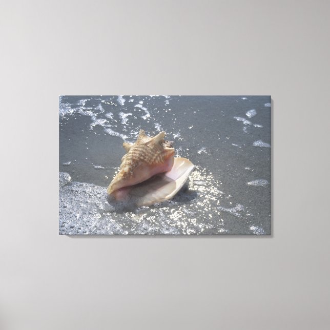 Seashell On Beach | Sanibel Island, Florida Canvas Print (Front)
