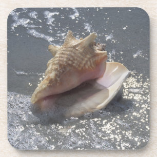 Seashell On Beach Sanibel Island, Florida Coaster