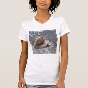 Seashell On Beach   Sanibel Island, Florida T-Shirt