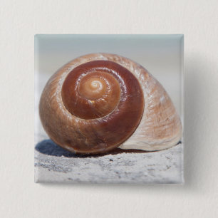 Seashell On Beach   St. Petersburg, Fl 15 Cm Square Badge
