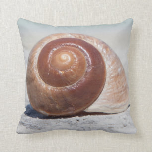 Seashell On Beach St. Petersburg, Fl Cushion