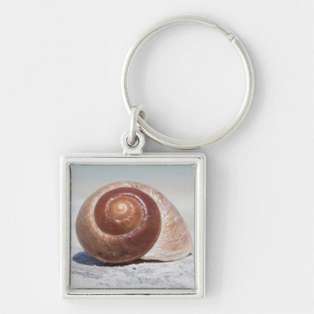 Seashell On Beach | St. Petersburg, Fl Key Ring (Front)