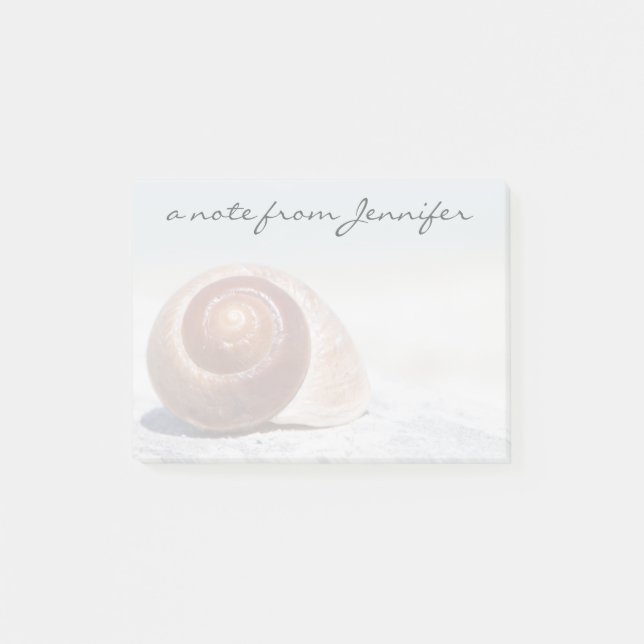 Seashell On Beach | St. Petersburg, Fl Post-it Notes (Front)