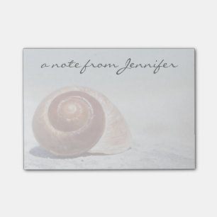 Seashell On Beach   St. Petersburg, Fl Post-it Notes