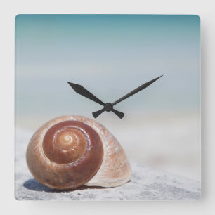 Seashell On Beach St. Petersburg, Fl Square Wall Clock