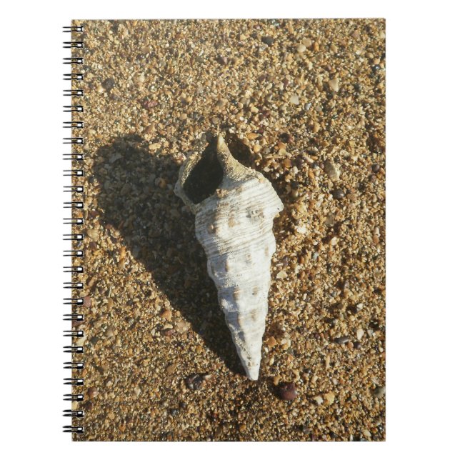 Seashell on the Beach Notebook (Front)