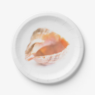 Seashell Paper Plate