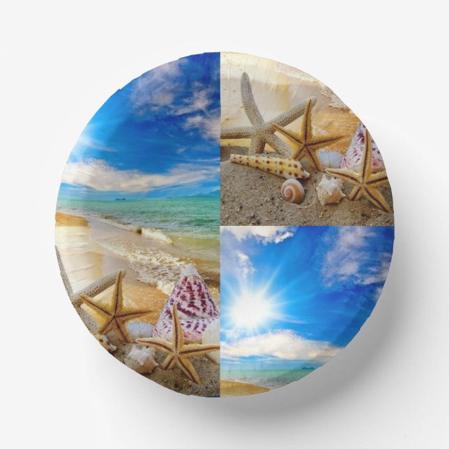 Seashell  paper plate (Front)