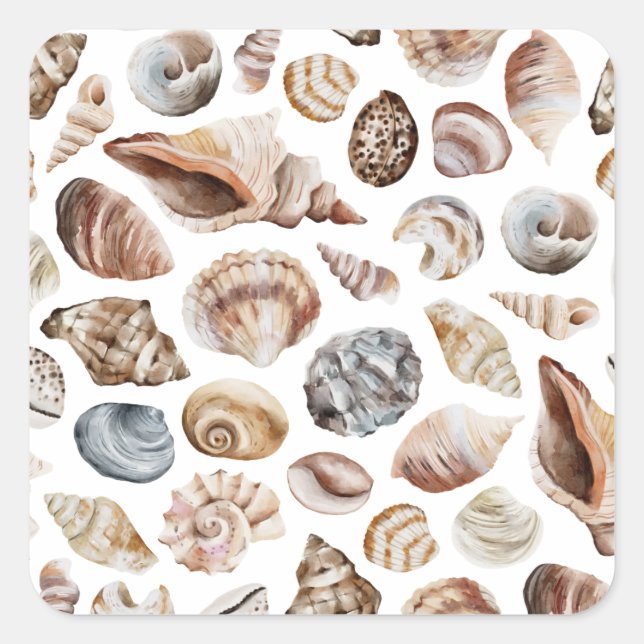 Seashell pattern square sticker (Front)