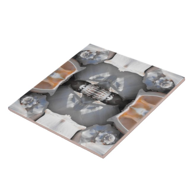 Seashell Pattern Tile (Side)