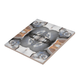 Seashell Pattern Tile