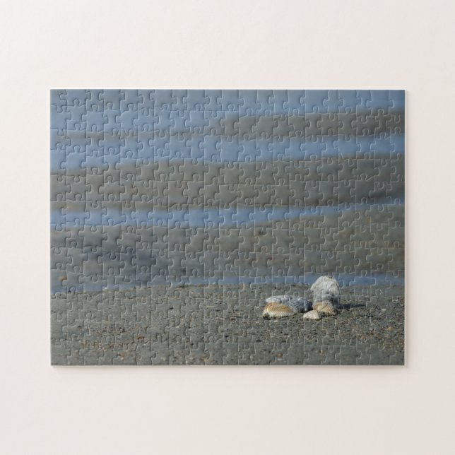 Seashell Pile Jigsaw Puzzle (Horizontal)