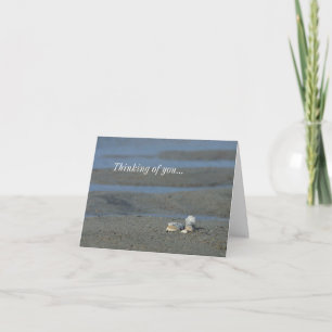 Seashell Pile Thinking Of You Card