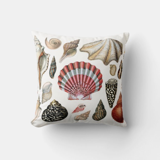 SEASHELL pillow (Front)