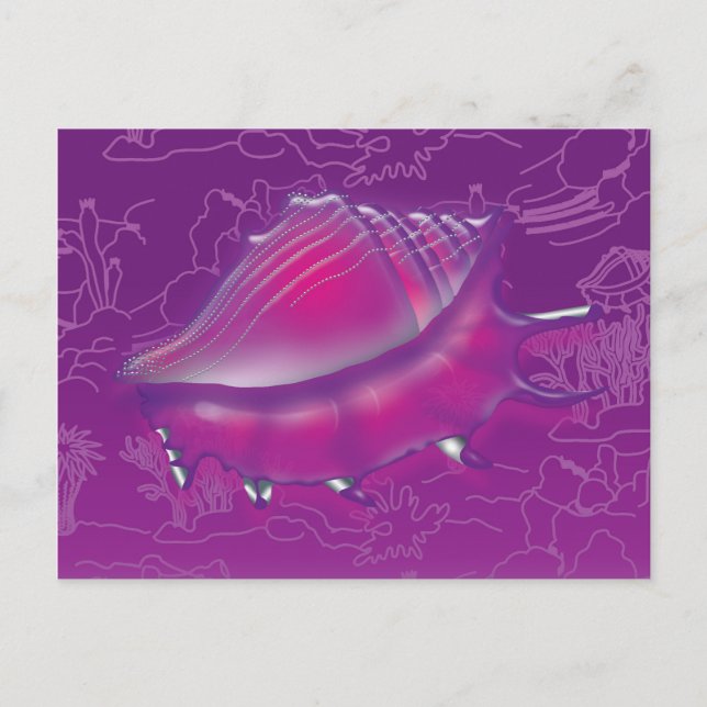 Seashell Postcard (Front)