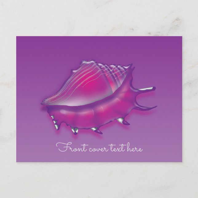 Seashell Postcard (Front)