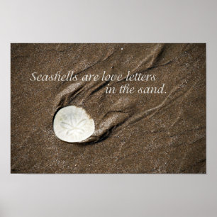 Seashell Poster