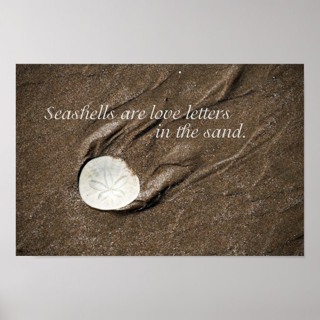 Seashell Poster (Front)